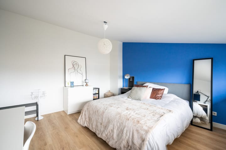 Foto 31 van Prof. Einthovenstraat 13