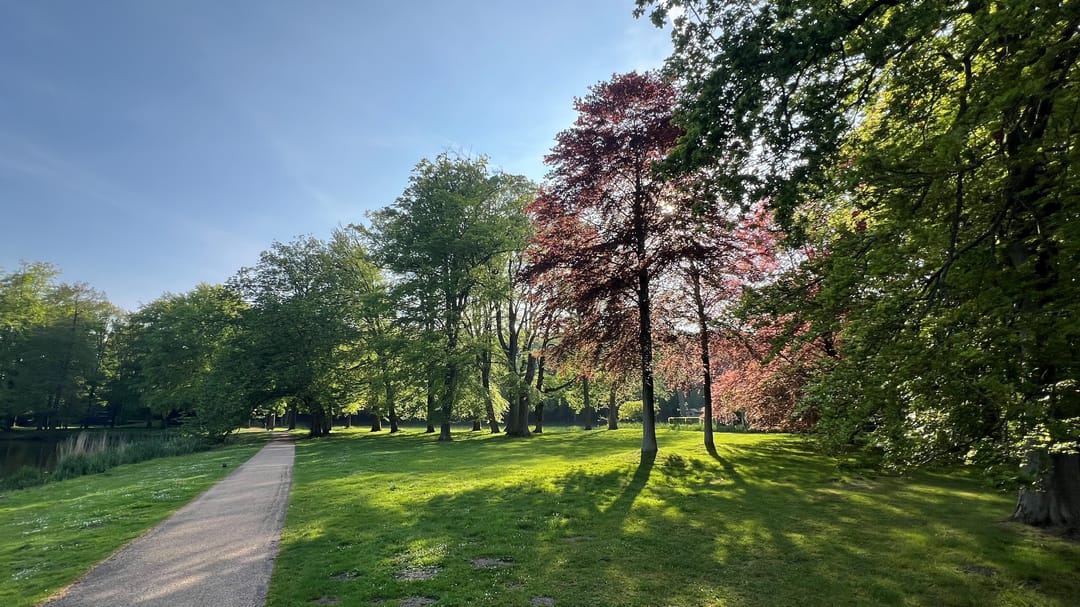 Foto 73 van Zocherlaan 48