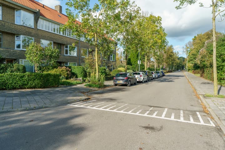 Foto 7 van Haydnlaan 1-A