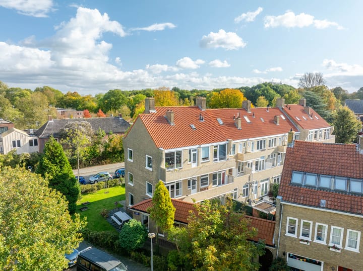 Foto 39 van Haydnlaan 1-A