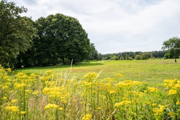 Foto 51 van Taurus 27