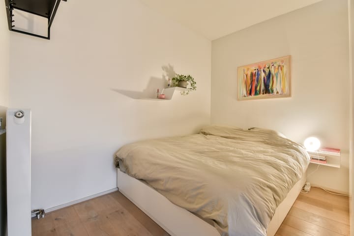 Foto 9 van Van Ostadestraat 21-3V