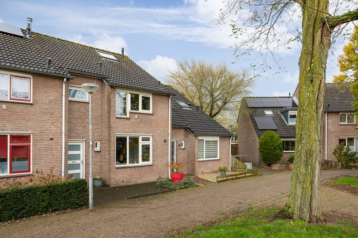 Photo 47 of Lokeren 88