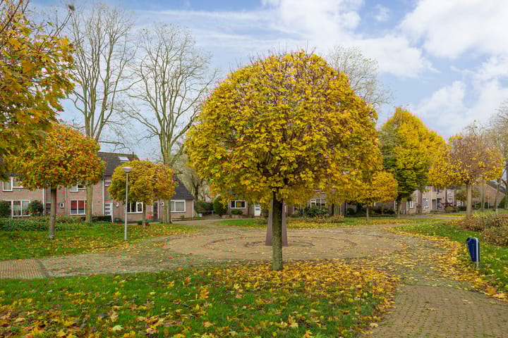 Photo 52 of Lokeren 88