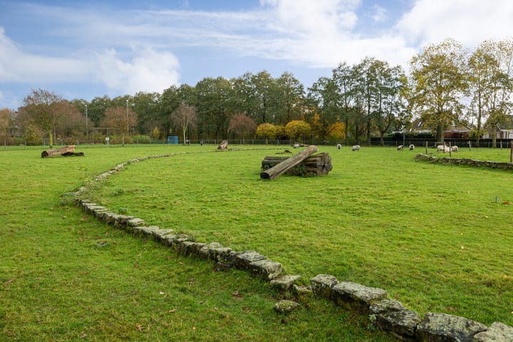 Photo 54 of Lokeren 88