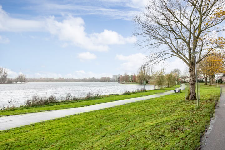 Photo 56 of Lokeren 88