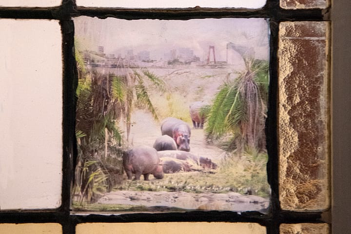 Foto 28 van Heemraadssingel 116-01