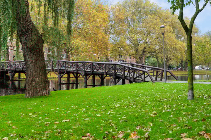 Foto 33 van Heemraadssingel 116-01