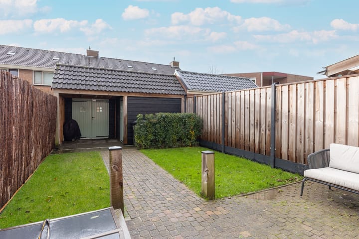 Foto 3 van Zanglijster 14