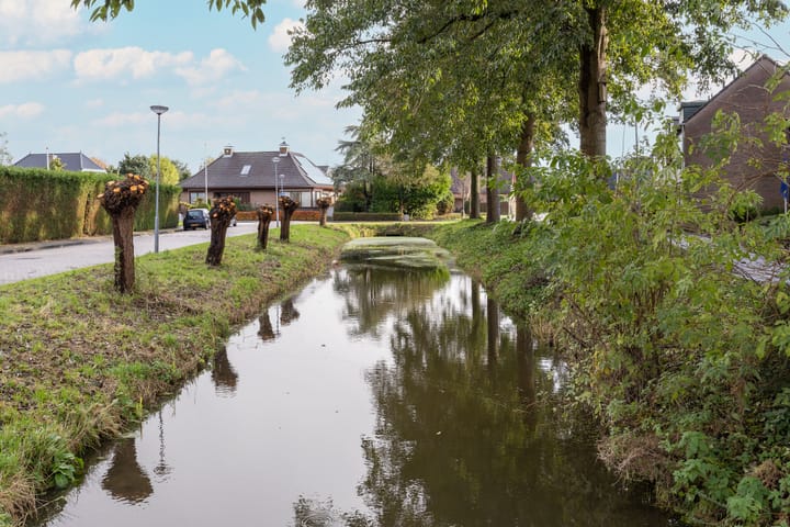 Foto 4 van Zanglijster 14