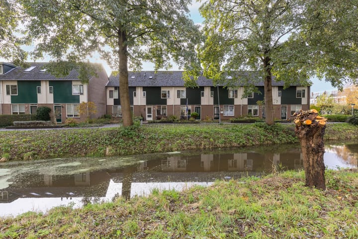 Foto 5 van Zanglijster 14