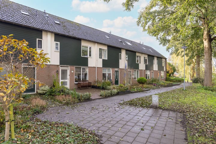 Foto 6 van Zanglijster 14