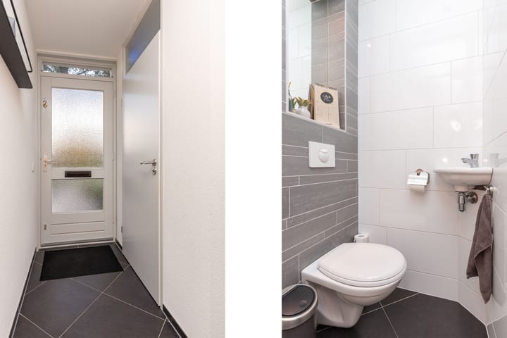 Foto 8 van Zanglijster 14