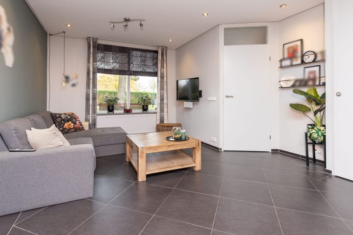 Foto 9 van Zanglijster 14