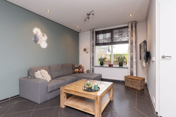 Foto 10 van Zanglijster 14