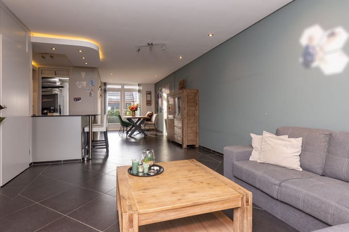 Foto 11 van Zanglijster 14