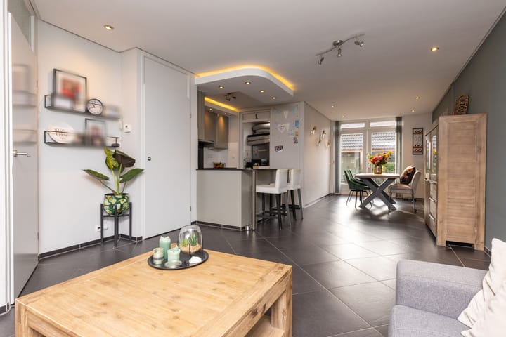 Foto 12 van Zanglijster 14