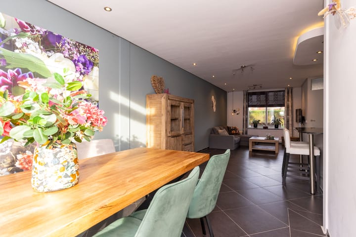 Foto 14 van Zanglijster 14