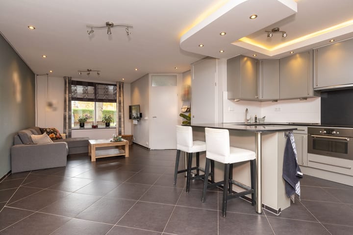 Foto 15 van Zanglijster 14