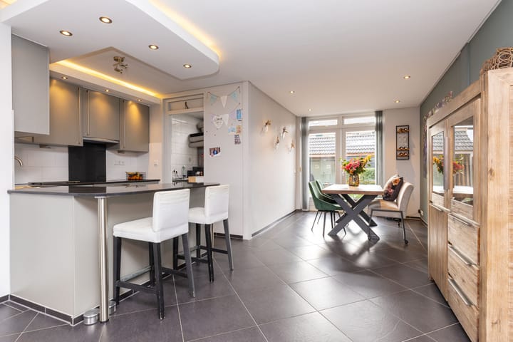 Foto 18 van Zanglijster 14