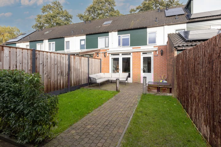 Foto 19 van Zanglijster 14