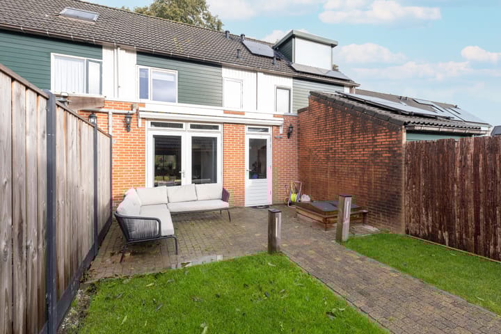 Foto 20 van Zanglijster 14