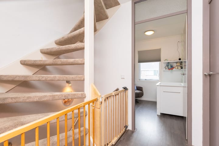 Foto 23 van Zanglijster 14