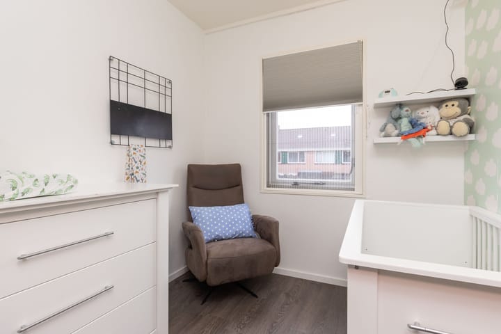 Foto 24 van Zanglijster 14