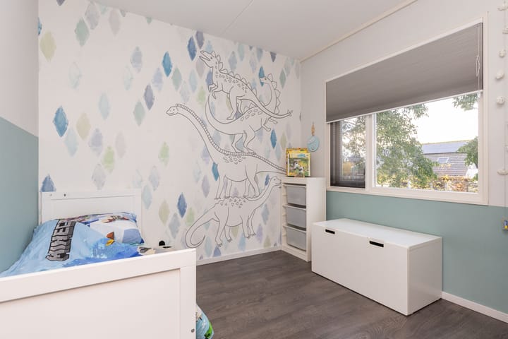 Foto 29 van Zanglijster 14