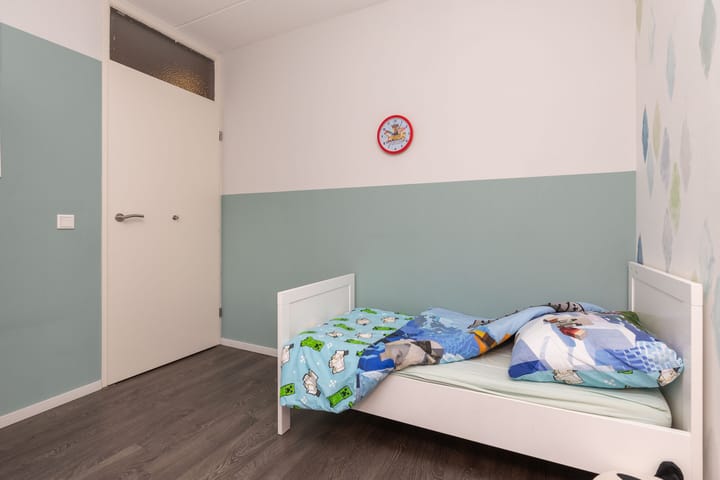 Foto 30 van Zanglijster 14