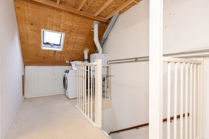 Foto 33 van Zanglijster 14