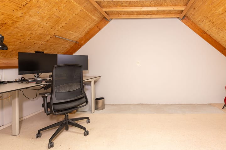 Foto 34 van Zanglijster 14