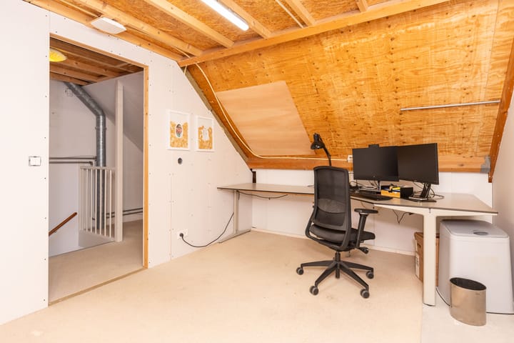 Foto 35 van Zanglijster 14