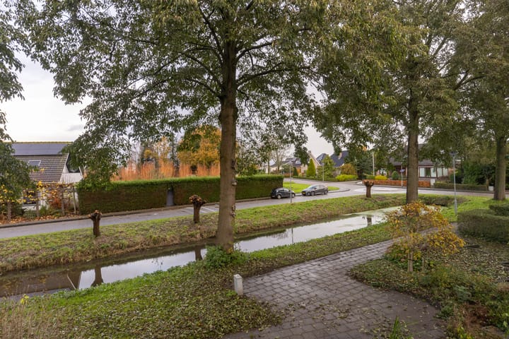 Foto 36 van Zanglijster 14