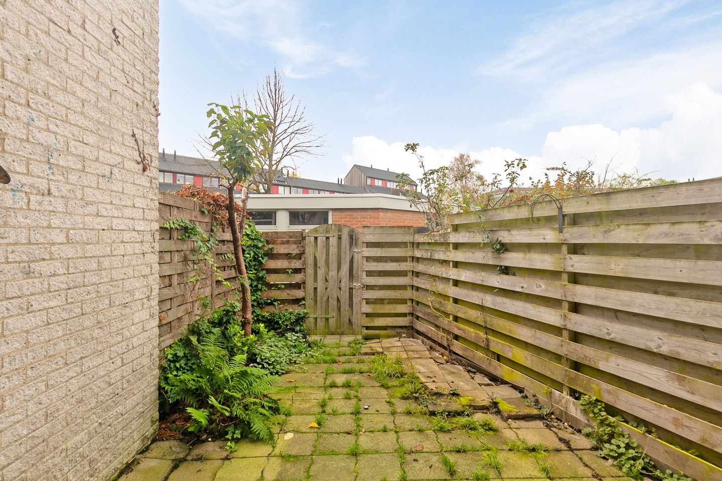 Foto 20 van Granaat 30