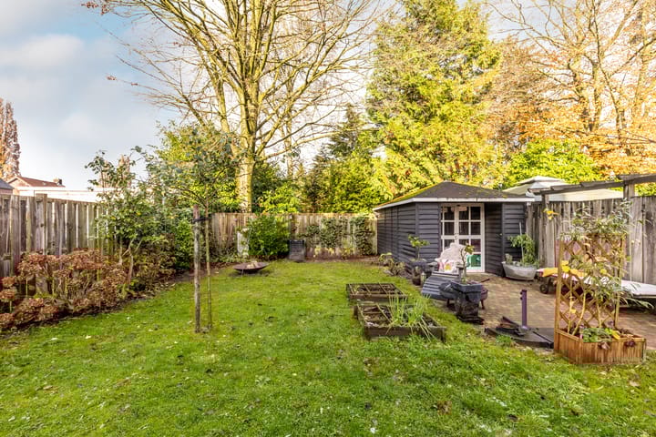 Foto 40 van De Schutsboom 3