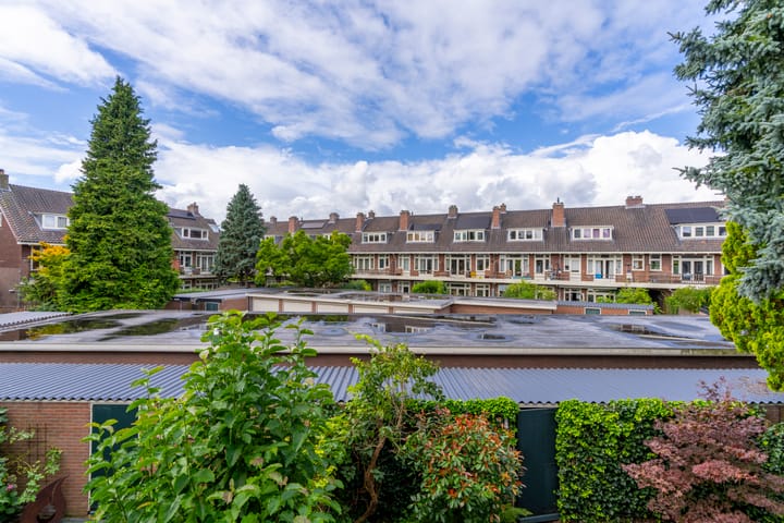 Photo 19 of Kneppelhoutstraat 6-BS