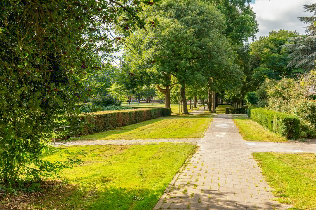 Photo 38 of Kneppelhoutstraat 6-BS