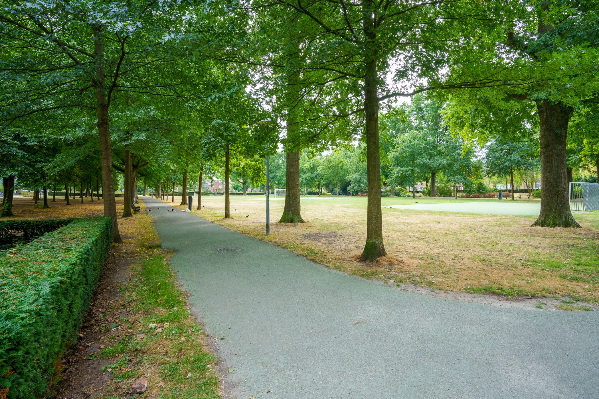 Photo 39 of Kneppelhoutstraat 6-BS