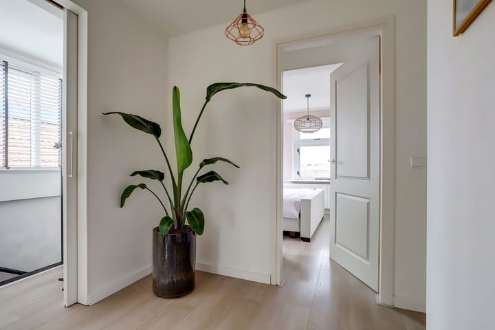 Foto 32 van Zwartendijk 6