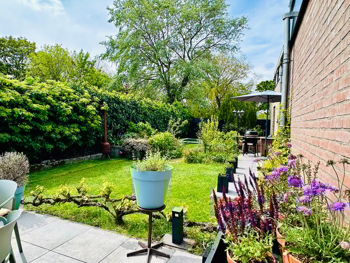 Foto 46 van Zwartendijk 6