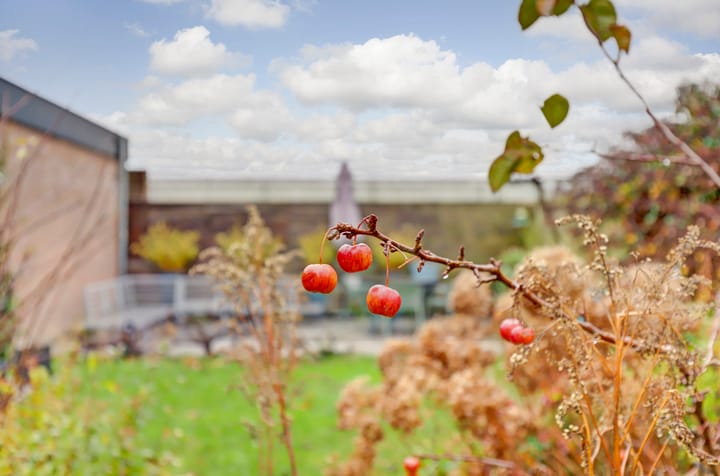 Foto 50 van Zwartendijk 6