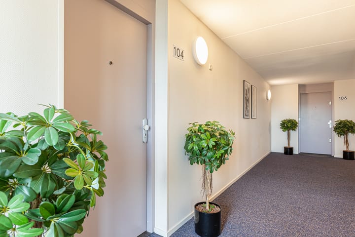 Foto 13 van Tsjaikovskistraat 104