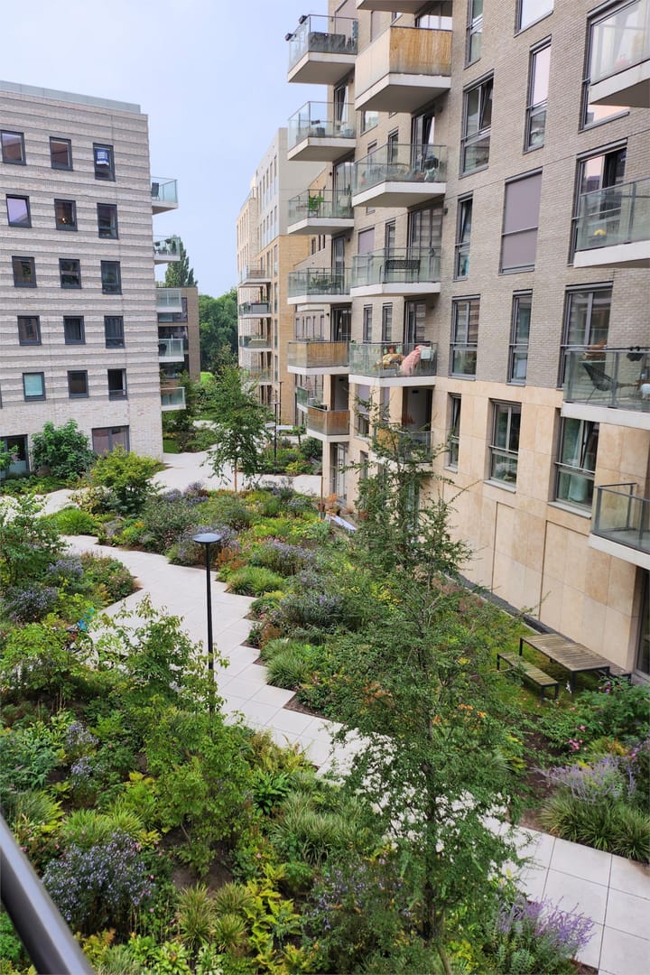 Foto 4 van Rookmelderstraat 32