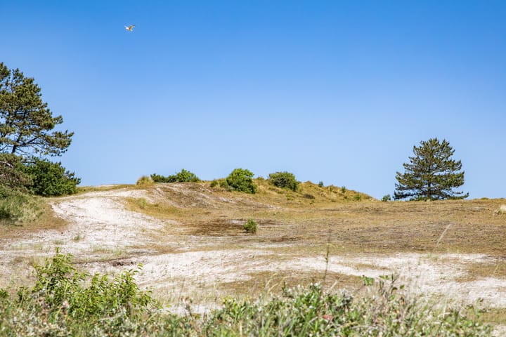 Foto 38 van Zeeweg 4