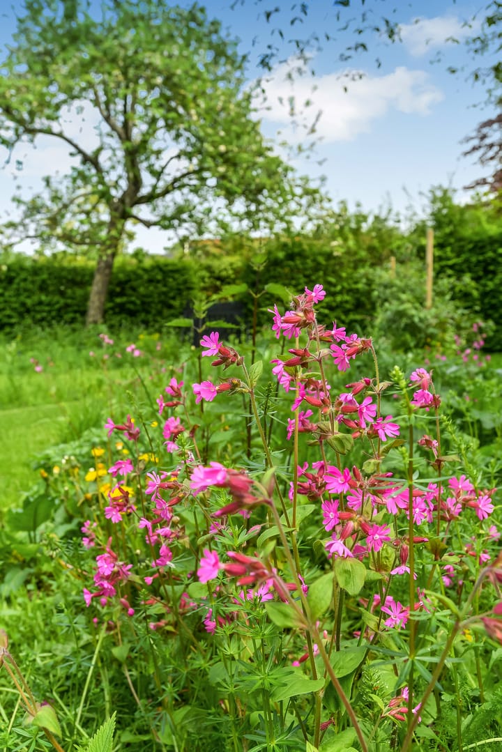 Foto 77 van Koepoortstraat 44