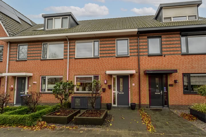 Foto 6 van Rozenhout 6