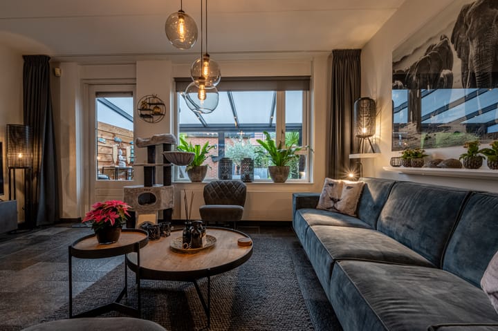 Foto 20 van Rozenhout 6