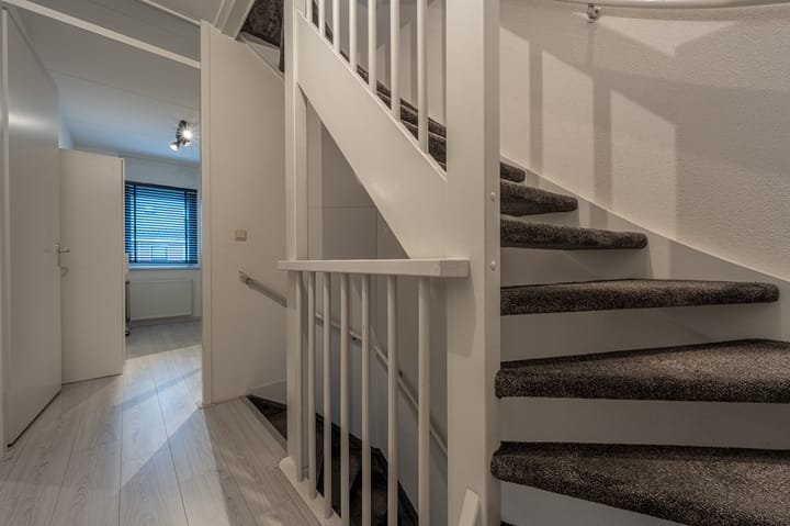 Foto 47 van Rozenhout 6