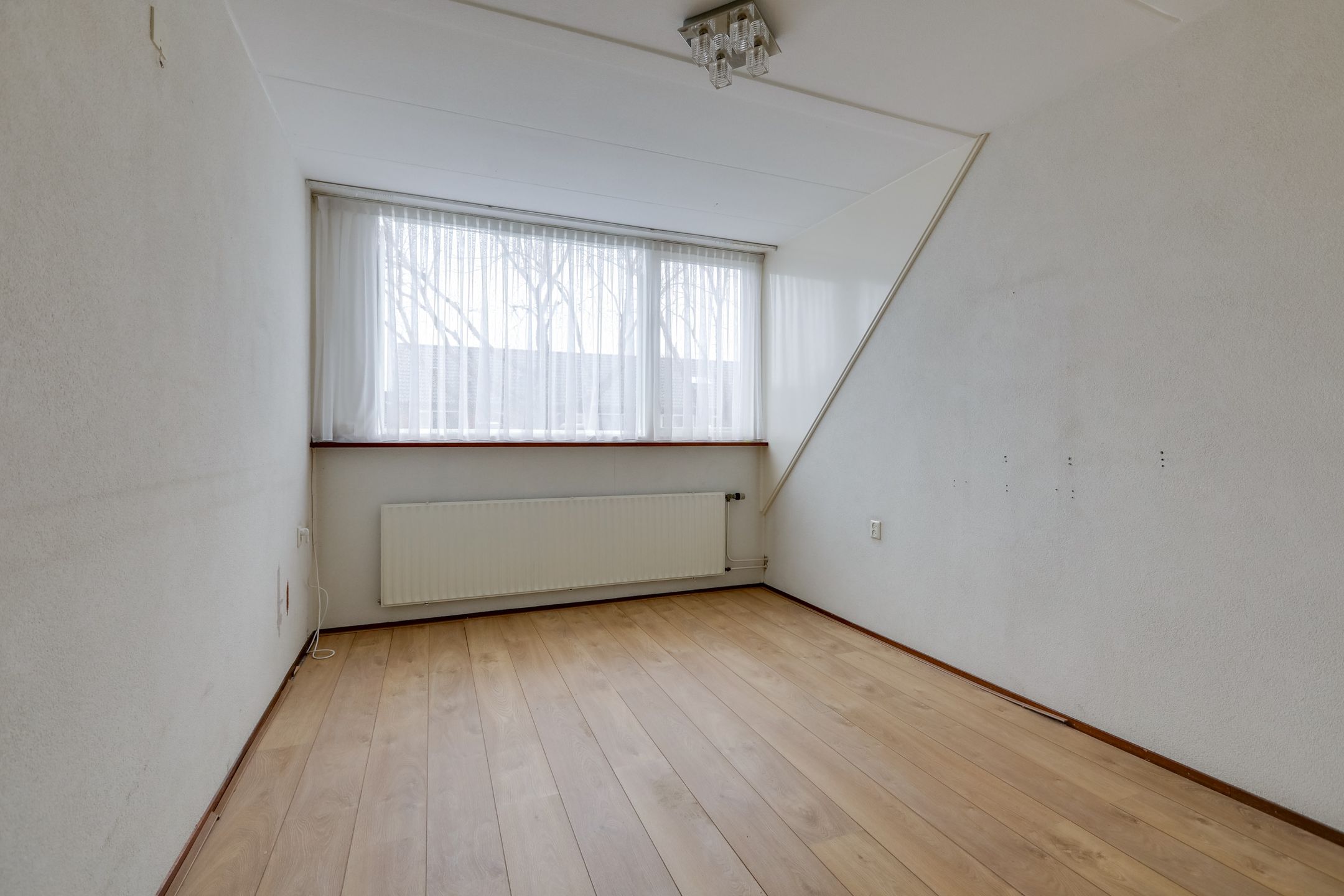 Foto 21 van van Ruisdaelstraat 23